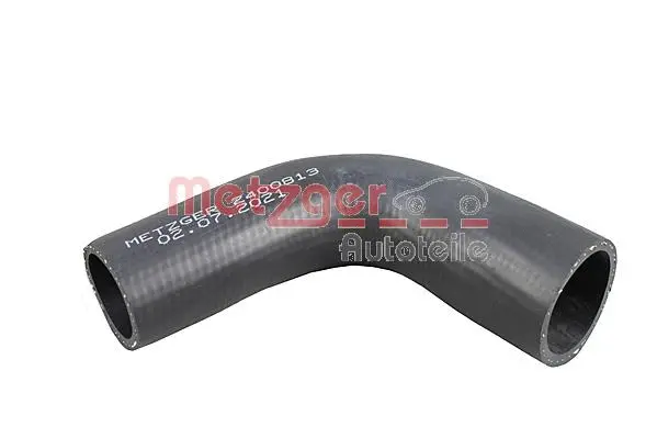 Charge Air Hose (2400813)