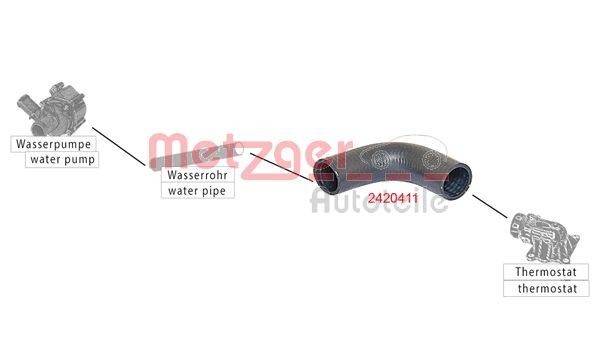 Radiator Hose (2420411)