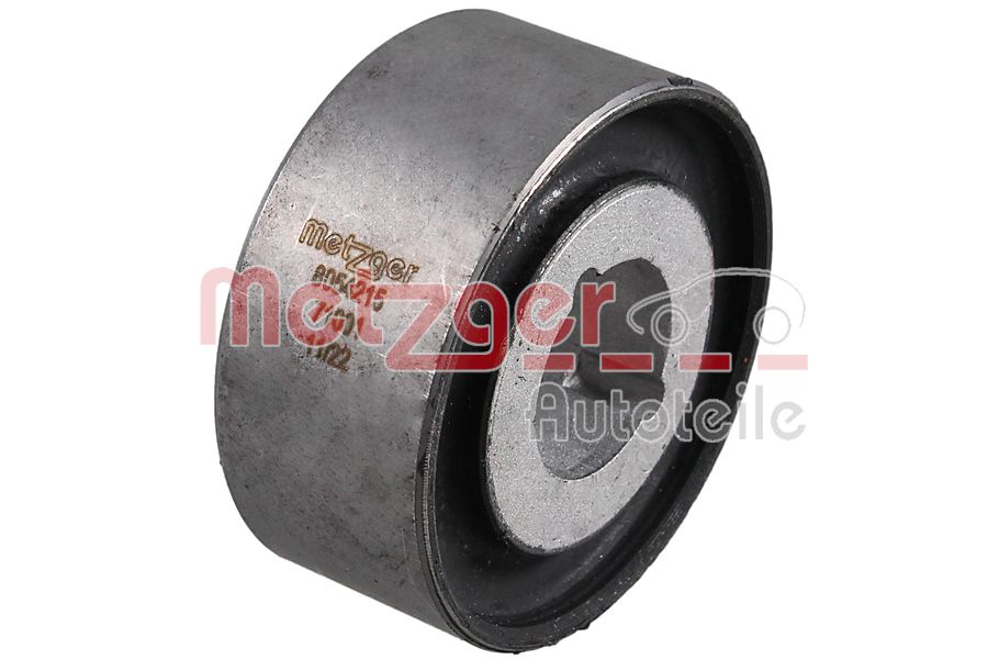 Mounting, differential (8054215)