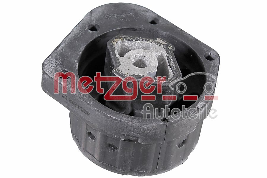 Mounting, transfer case (8054289)