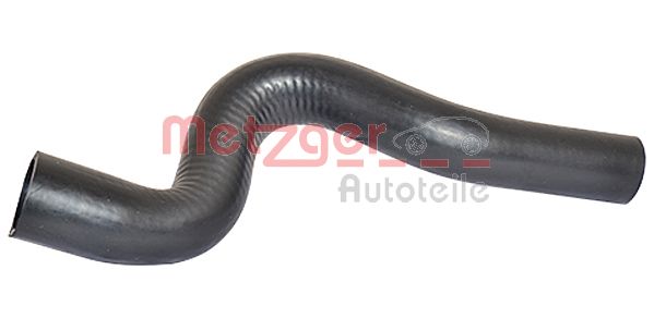Radiator Hose (2420218)