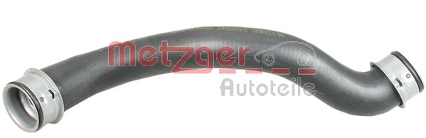 Radiator Hose (2420349)