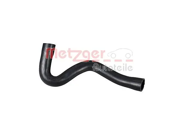 Radiator Hose (2420955)