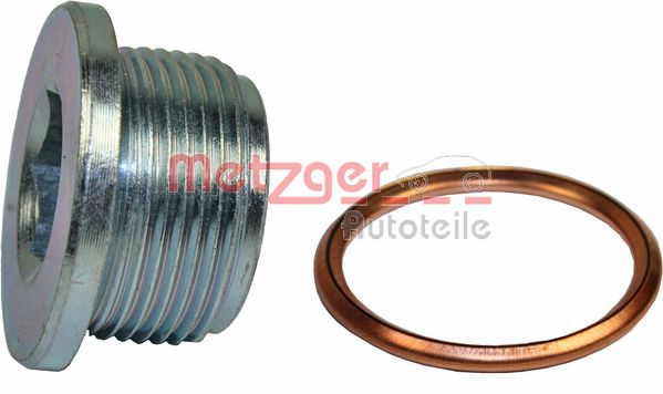 Screw Plug, oil sump (8030039)