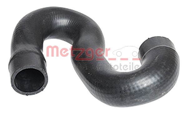 Radiator Hose (2420155)