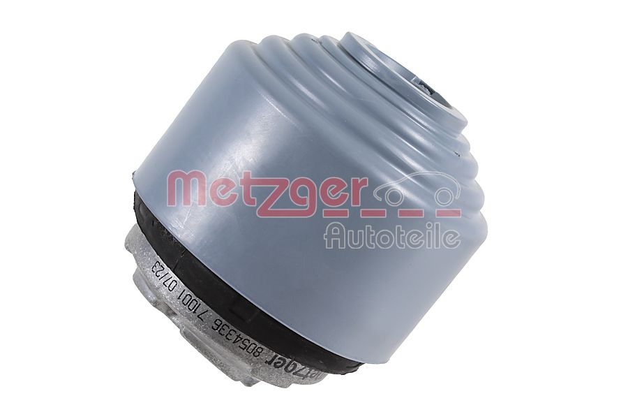 Mounting, engine (8054336)