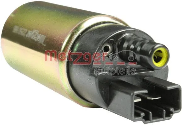Fuel Pump (2250166)