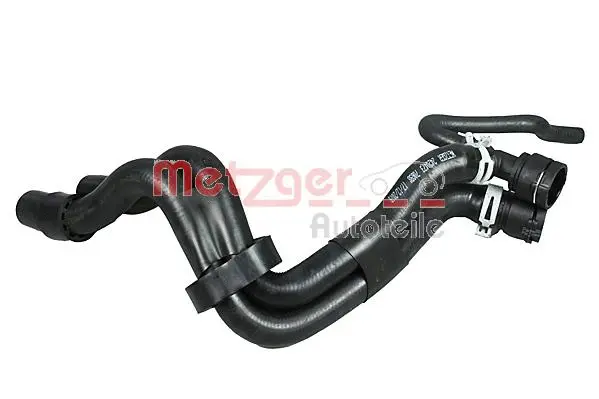 Radiator Hose (2420473)