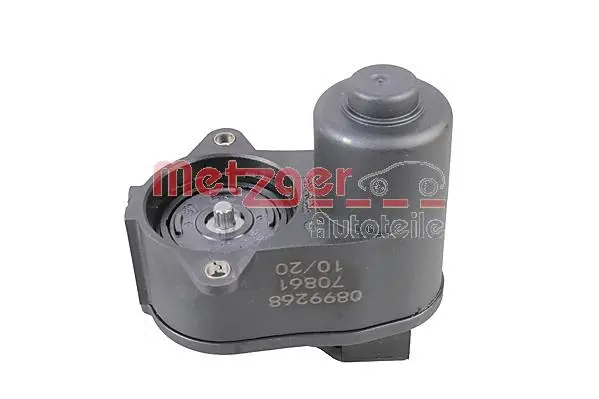 Control Element, parking brake caliper (0899268)