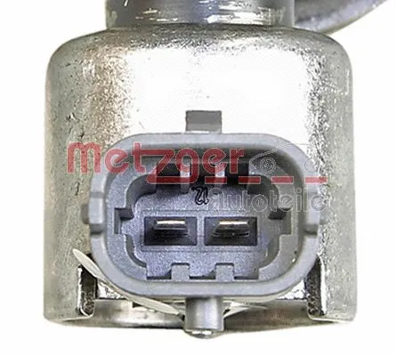 High Pressure Pump (2250299)