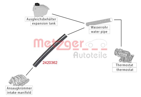 Radiator Hose (2420362)