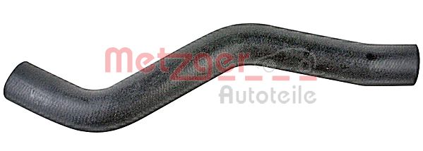 Radiator Hose