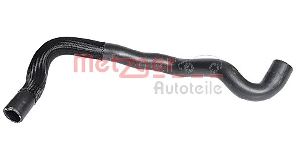 Radiator Hose (2420021)