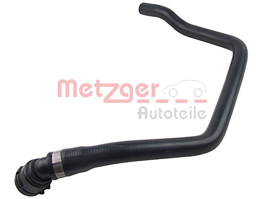 Radiator Hose (2420541)