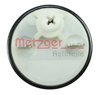Fuel Pump (2250070)