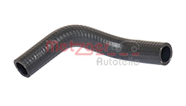 Radiator Hose (2420409)