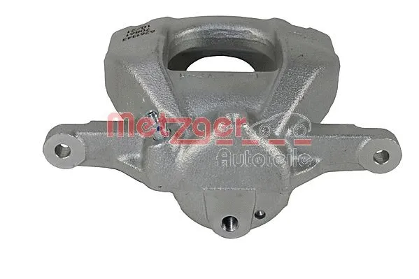 Brake Caliper (6261343)