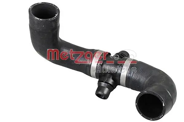 Radiator Hose (2421240)
