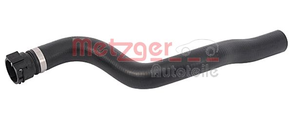 Radiator Hose (2420070)