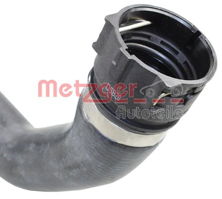 Radiator Hose
