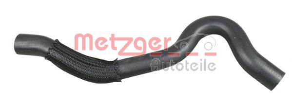 Radiator Hose (2420878)