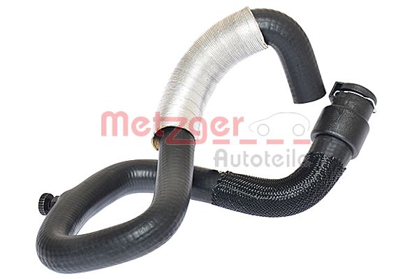 Radiator Hose (2420315)