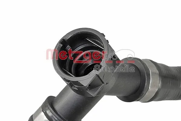 Radiator Hose