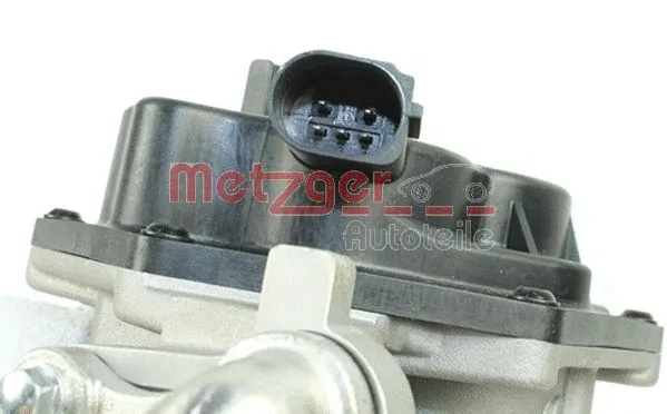 EGR Module