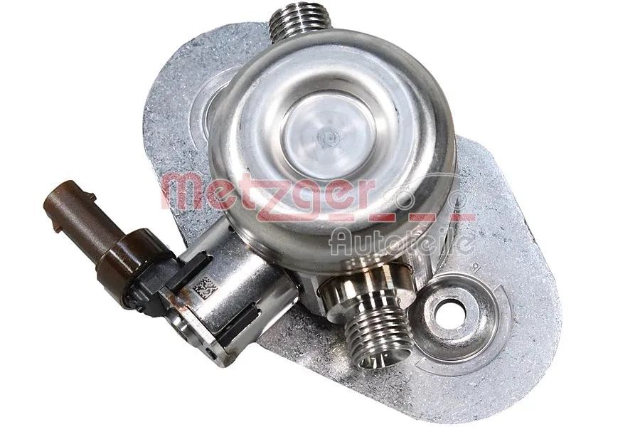 High Pressure Pump (2250556)