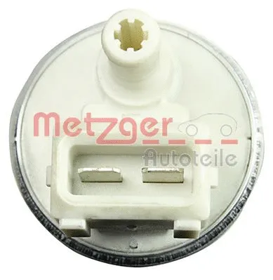 Fuel Pump (2250290)