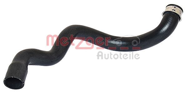 Radiator Hose (2420126)