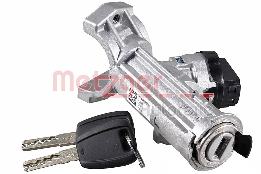 Steering Lock (2310862)