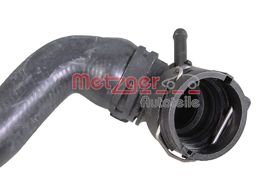 Radiator Hose