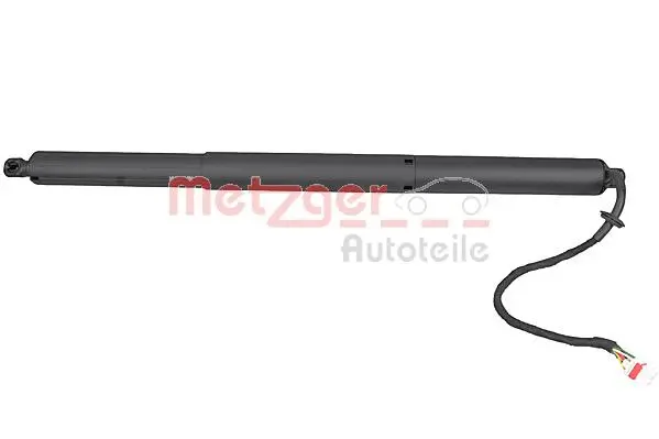 Electric Motor, tailgate (2115006)