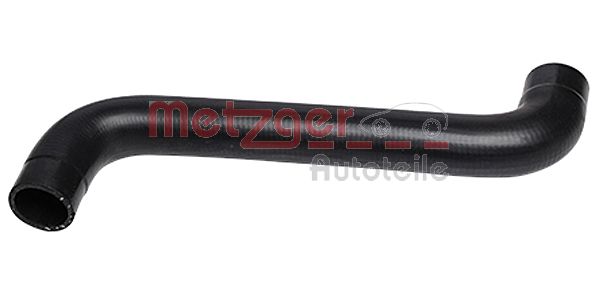 Radiator Hose (2420119)