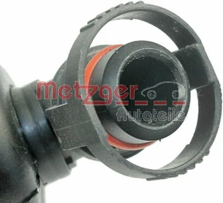 Hose, crankcase ventilation