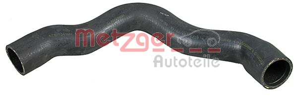 Radiator Hose (2420688)