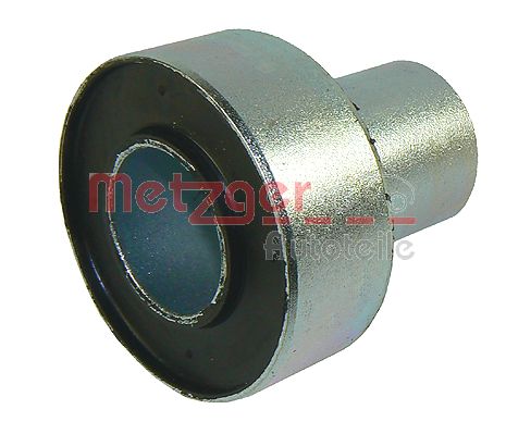 Bushing, axle beam (52067509)