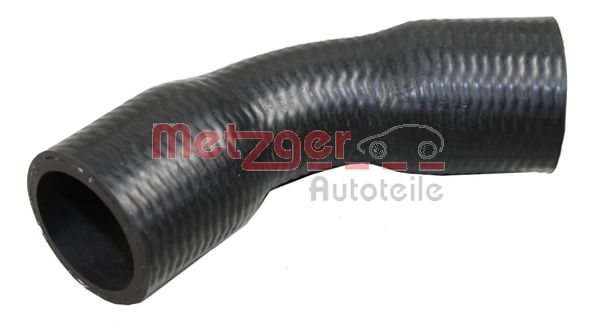Radiator Hose (2420326)