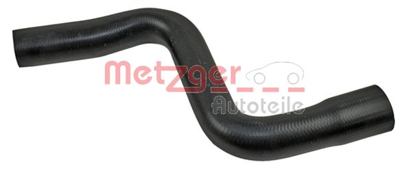 Radiator Hose (2420810)