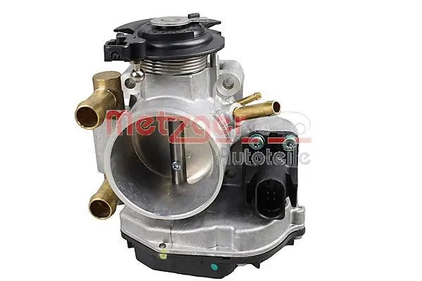 Throttle Body (0892821)