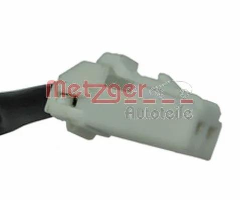 Tailgate Handle
