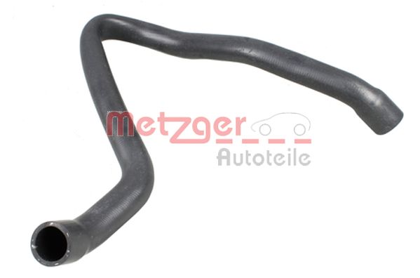 Radiator Hose (2420811)