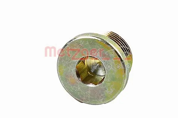 Screw Plug, transmission housing