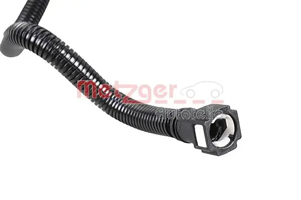 Fuel Line