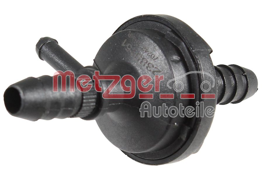 Non-Return Valve (2385151)