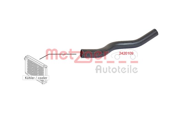 Radiator Hose (2420109)