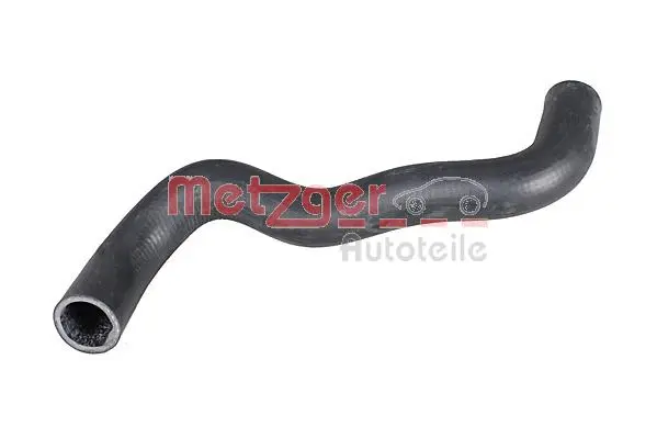 Radiator Hose (2421066)