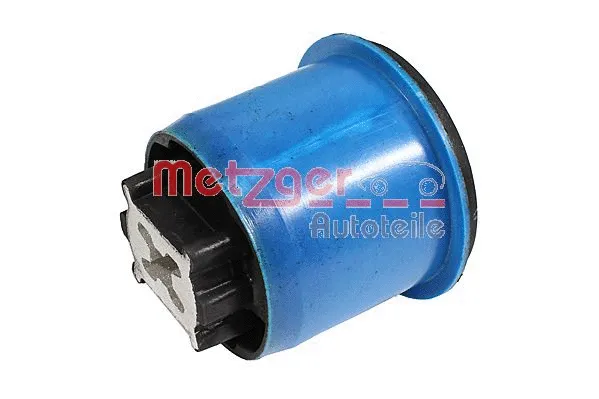 Bushing, axle beam (52091109)