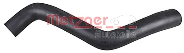 Radiator Hose (2421023)